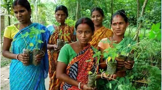 राजस्थान का पिपलांत्री गाँव जहां बेटी पैदा होने पर बजते है ढ़ोल और लगाए जाते है 111 पौधे