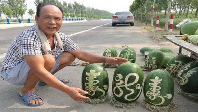 Photo of चीनी फल विक्रेता का तरबूज बेचने का अनोखा तरीका