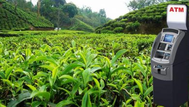 चाय बागानों में लगाए जाएंगे 1000 नए एटीएम