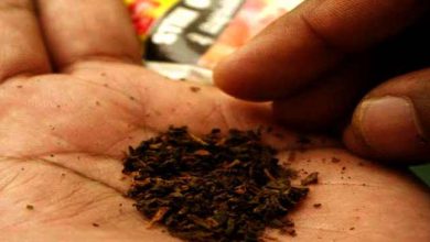 असम, त्रिपुरा और मणिपुर में तंबाकू का इस्तेमाल बढ़ा: जीएटीएस रिपोर्ट