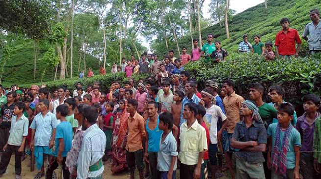 असम- चाय बगान के मालिक ने मजदूरों पर चलाई गोली, 8 मजदूर घायल