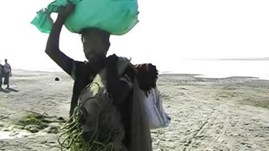 असम: ब्रहमपुत्र के चर बने रेगिस्तान, पलायन कर रहे हैं किसान