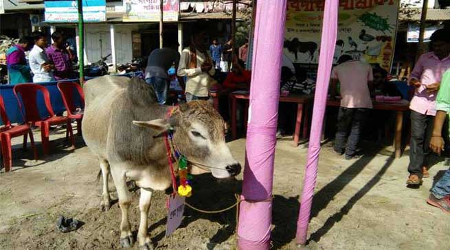 असम के ग्रामीणों ने अनोखे ढंग से मनाया नव वर्ष