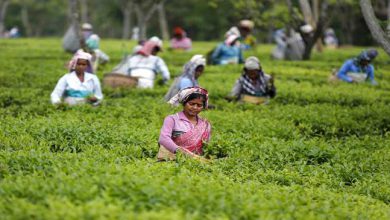 असम चाय मजदूर संघ के खिलाफ कुप्रचार