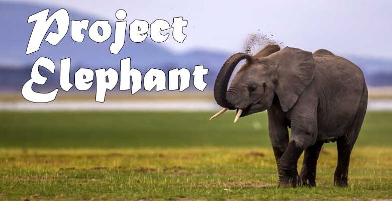 Project Elephant : हाथी परियोजना के तीस वर्ष