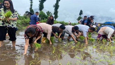 सिक्किम में आषाढ़ पंडरा उत्सव धूमधाम से मनाया गया