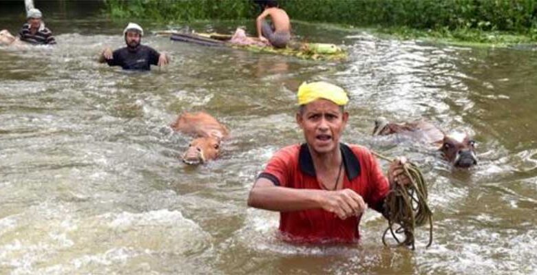 Assam Flood: असम में बाढ़ से 29,000 लोग, 25 गांव प्रभावित