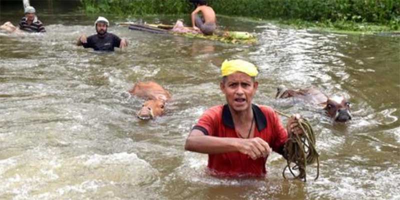 Assam Flood: असम में बाढ़ से 29,000 लोग, 25 गांव प्रभावित