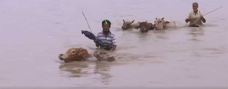 असम मे बाढ़ से 1.2 लाख लोग, 20 जिले प्रभावित, मुख्य मंत्री हिमन्त बिसवा सरमा ने बाढ़ ग्रस्त इलाके का दौरा किया